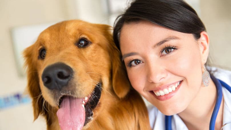 15 mai este marcată Ziua Națională a Medicului Veterinar