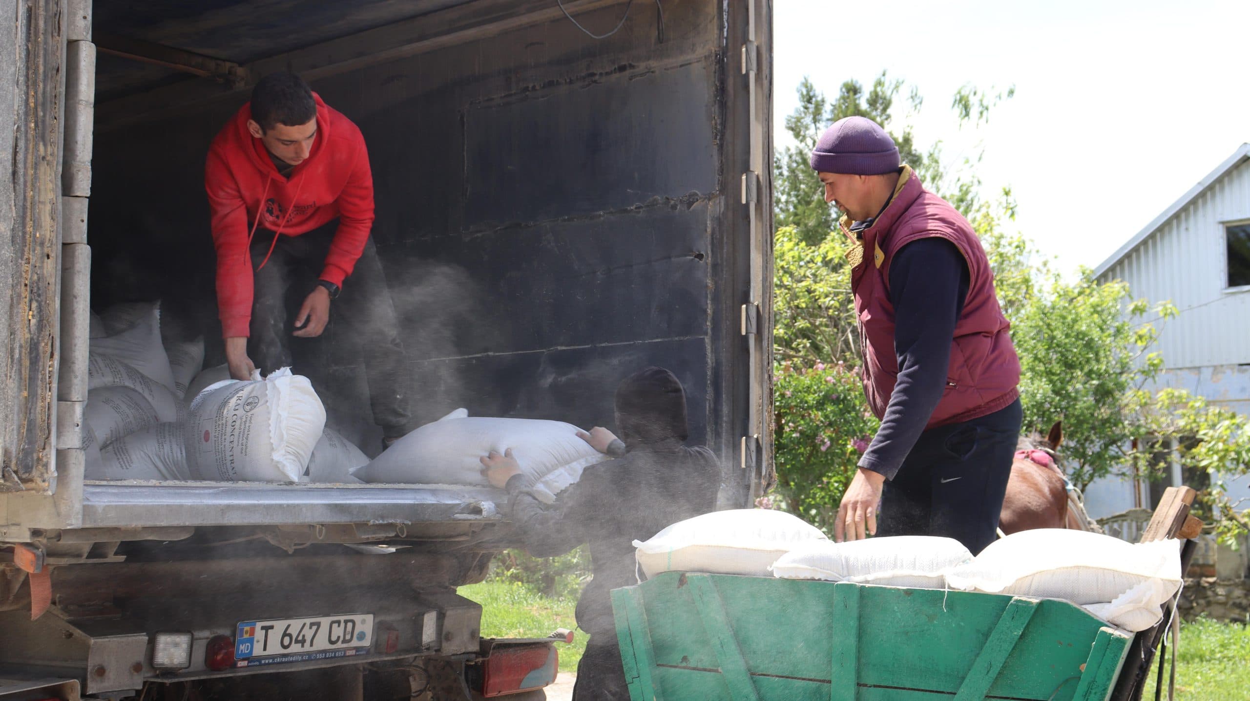 Peste 300 de gospodării din Cahul au beneficiat de furaje pentru animale în cadrul unui proiect FAO