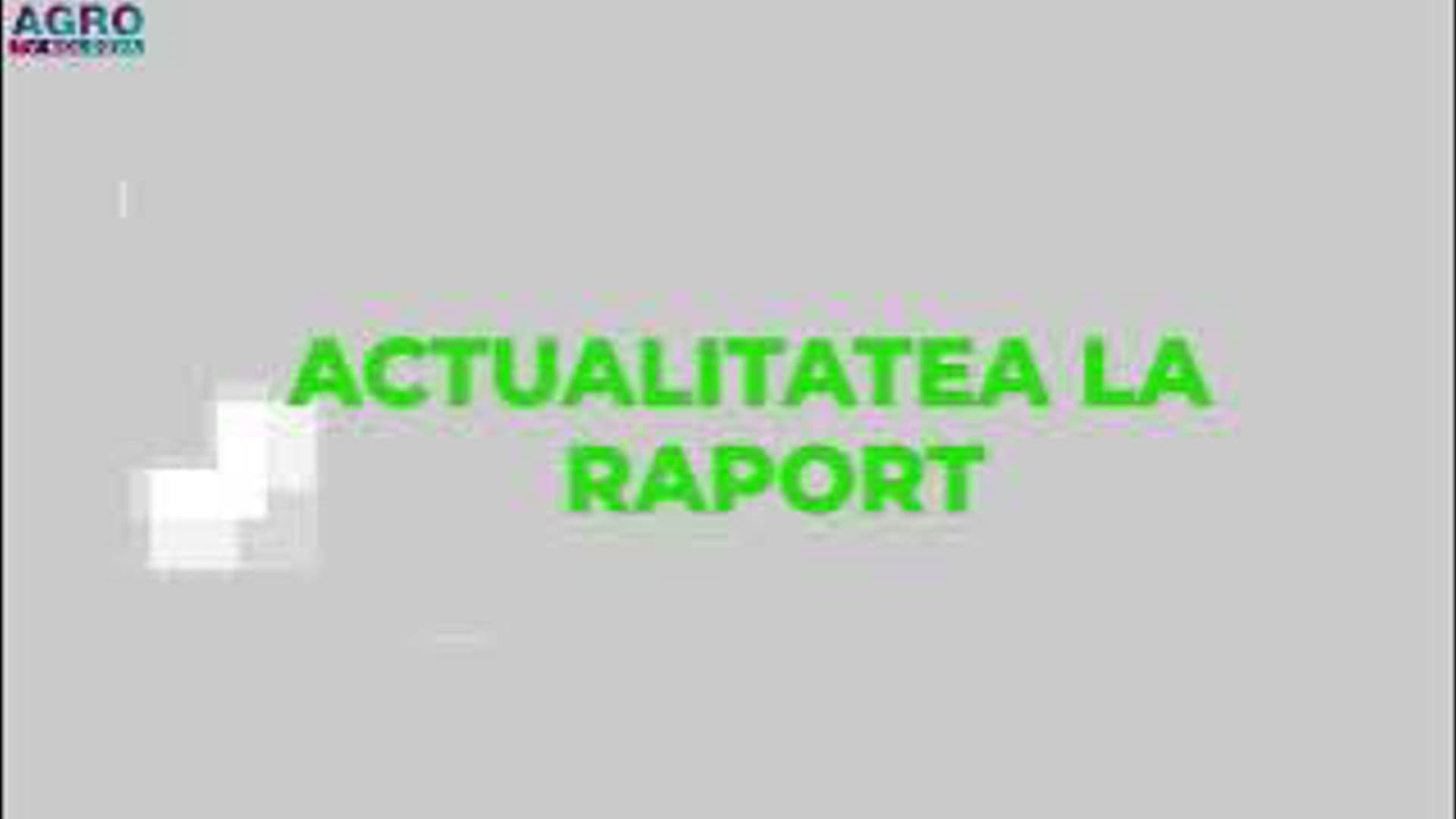 Actualitatea la Raport