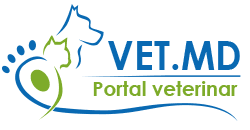 Vet.MD – platforma care aduce medicul veterinar mai aproape de tine