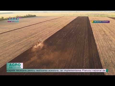 Planurile Guvernului pentru următorii ani
