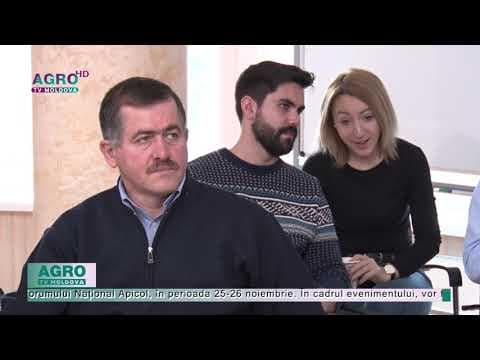 Aflați de ce e bine să practicați apicultura ecologică