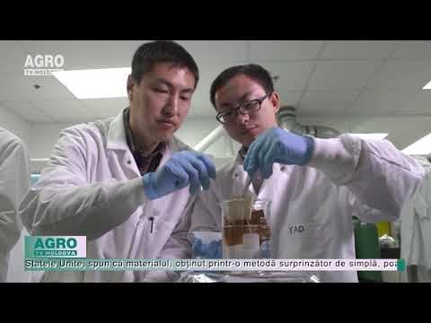 VIDEO/Cercetătorii au inventat lemnul transparent eficient energetic