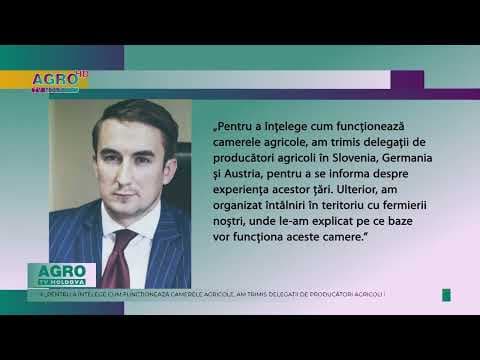 Agricultura se află la o răscruce: suportul internațional devine esențial pentru viitorul fermierilor