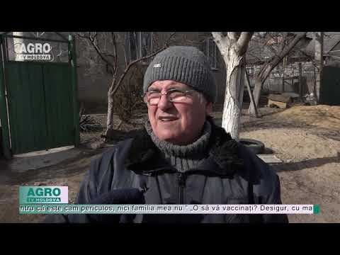Vox populi: Ce știu moldovenii despre vaccinul anti-COVID