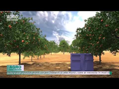 Agricultura are nevoie de drone care culeg fructe