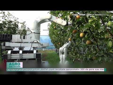 VIDEO/Lucrătorii sezonieri pot fi înlocuiți de un robot Japonez care strânge fructe