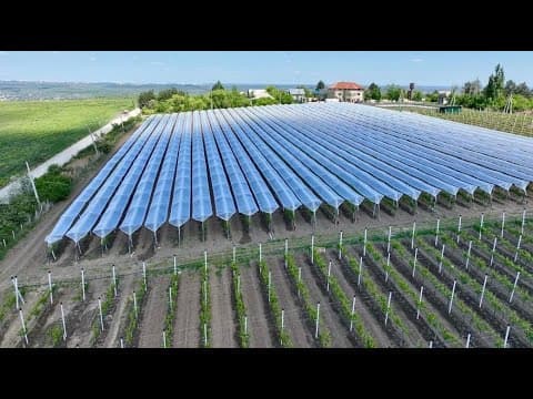 Agricultura 4.0 – iFarms, pasul spre creșterea profitului în agricultură