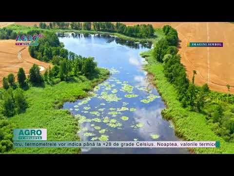 Vreme frumoasă în toată țara