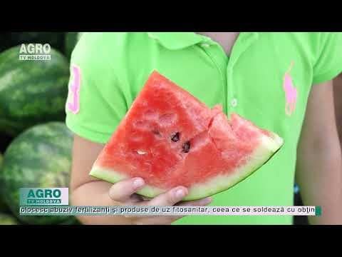Cum știi că produsele au nitrați