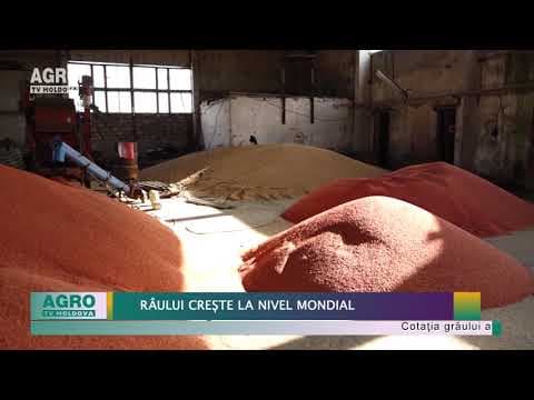 Prețul grâului crește la nivel mondial