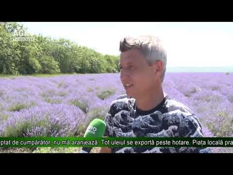 Descoperă Moldova