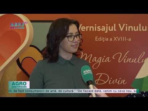 Vernisajul vinului: artă și istorie vinicolă