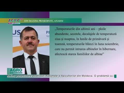 Apicultorii cer susținere din partea statului