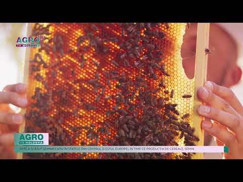 Fermele mici din UE tot mai puține: România înregistrează cea mai mare pierdere