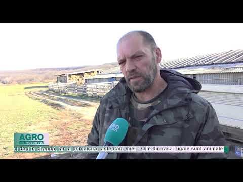 Și-a inițiat un business care aduce profit