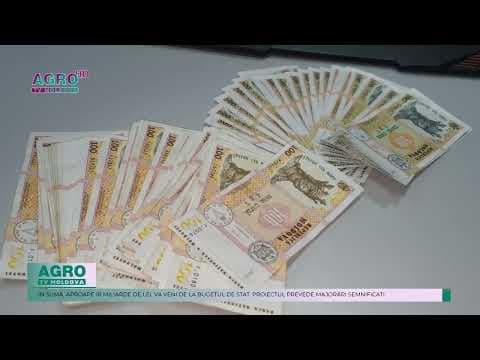 Pensiile vor crește în 2025: Pensia minimă va ajunge la 3.300 de lei