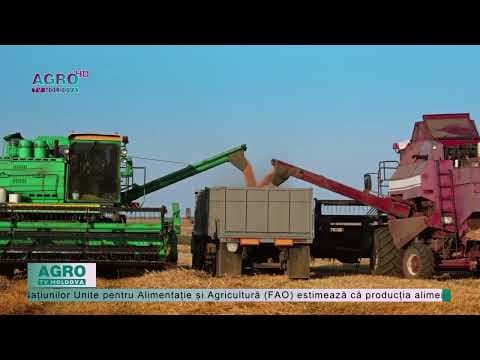 An de succes pentru agricultori! Se așteaptă roade bogate