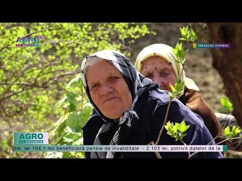 La atâtea scumpiri, pensia medie s-a majorat cu doar 57 de lei