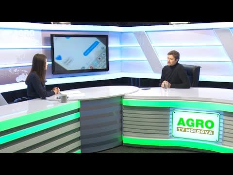 Actualitatea LA RAPORT: De ce creștem copii agresivi?