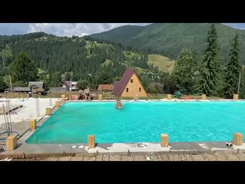 (VIDEO) În Lvov, o vacă a sărit în piscină cu turiști. E prea cald afară!!!