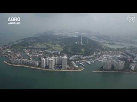 Singapore construiește un oraș eco-inteligent