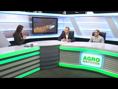 Actualitatea LA RAPORT: În curând, vor crește banane și în Moldova?