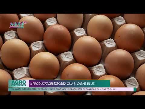 Încă un producător autohton a obținut dreptul de a exporta ouă în UE