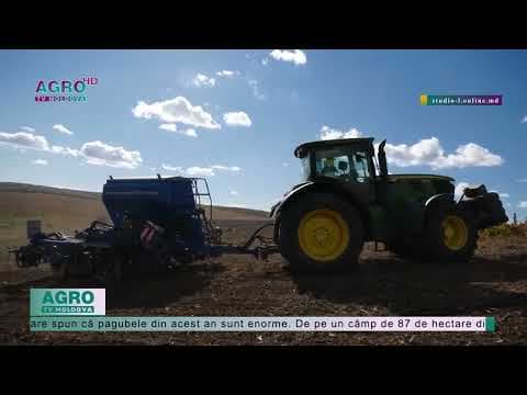 Seceta a afectat grav culturile agricole în sud-estul țării