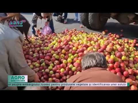 O tonă de mere, descărcate în fața Ministerului Agriculturii / VIDEO