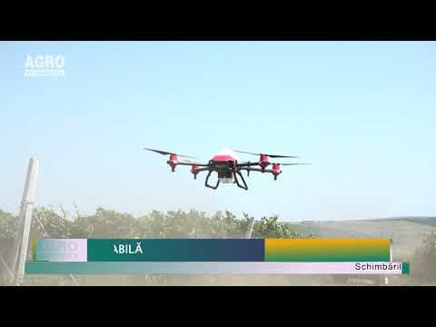 Irigare inteligentă – agricultură durabilă