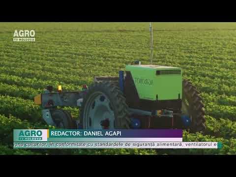 VIDEO/Robotul „aspirator de gândaci” scapă culturile de dăunători
