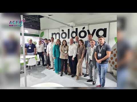 Fructele moldovenești, tot mai apreciate în Dubai