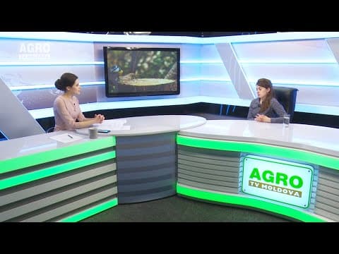 Actualitatea LA RAPORT – De ce dispar păsările din Moldova?