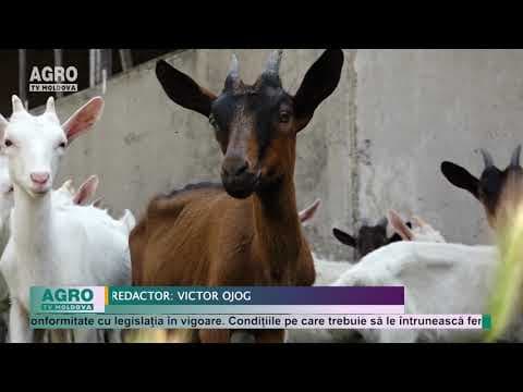 Subvenții pentru fiecare cap de animal