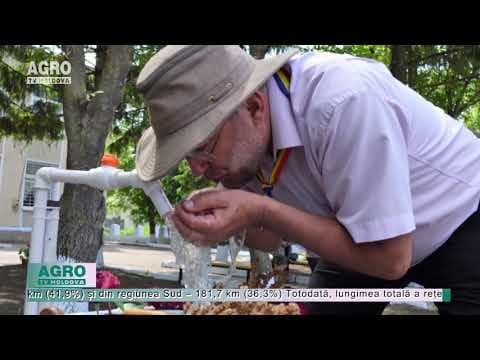 Nu mai cară apă de la fântână