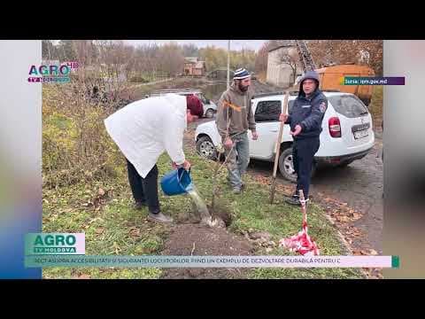 Rîșcani: Reabilitare urbană și protecția mediului