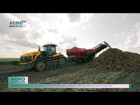Creștere semnificativă a cererilor de subvenționare pentru agricultură în 2024: Investiții de circa 2 miliarde lei