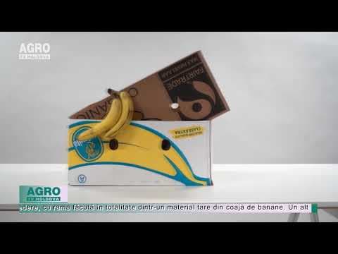 VIDEO/Cum folosim cojile de banană ca material de construcție durabil?