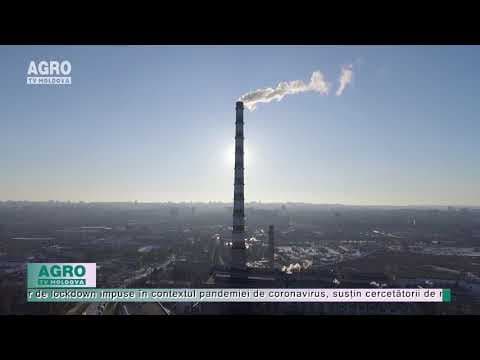 OMS: 9 din 10 oameni respiră aer poluat