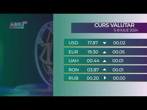 BNM: Curs valutar 5-8 iulie, 2024