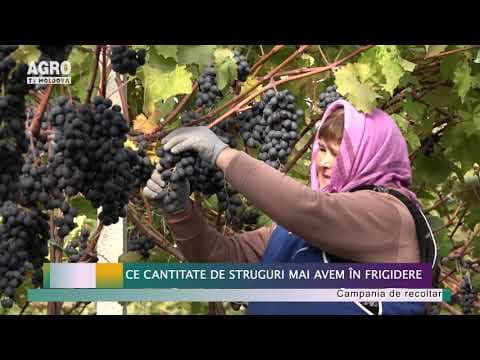 Ce cantitate de struguri mai avem în frigidere