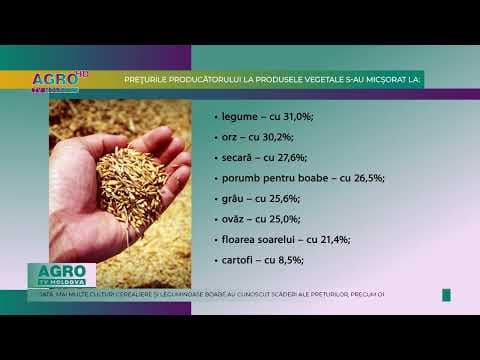Preţurile la produsele agricole în perioada ianuarie-iunie a anului curent s-au redus cu 14,7 la sută