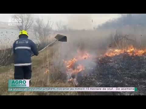 Zeci de hectare, în flăcări