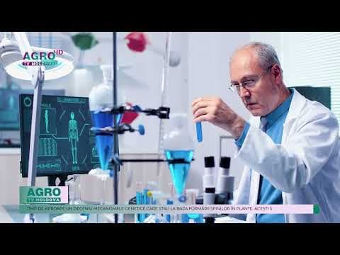 O descoperire genetică promite dezvoltarea vinetelor și trandafirilor fără spini
