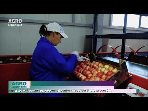 Ungurii vor să cumpere fructele noastre