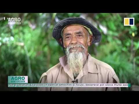 VIDEO/Odată numit nebun, un bunic din Indonezia salvează fermele din satul său