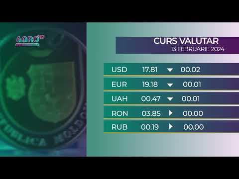 BNM: Cursul valutar 13 februarie