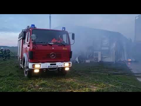 Incendiu la o fermă din România. 9000 de găini arse de vii / VIDEO