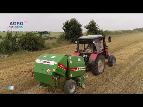 Agricultura ecologică, importantă pentru sănătatea oamenilor